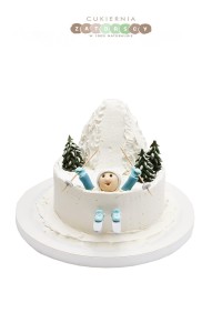 Tort dla Narciarza Narty Góry 