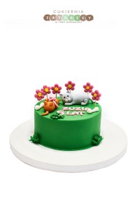 Tort Koty