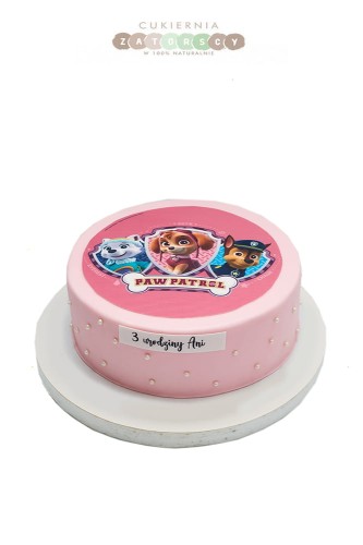 tort-psi-patrol-skye-dla-dziewczynki-z-dowozem-do-domu-cukiernia-zatorscy-krakow.jpg