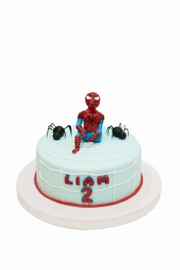 Tort Spiderman 