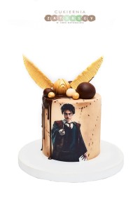 Tort Harry Potter