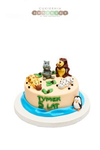  Tort Madagaskar Zwierzęta