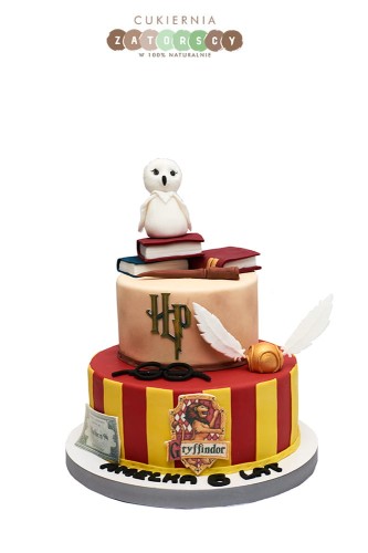 tort-harrypotter-sowa-dla-dzieci-z-dostawa-do-domu-krakow-cukiernia-zatorscy.jpg