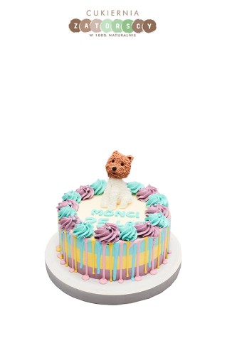 tort-z-pieskiem-drip-cake-kolorowy-krakow-torty-z-dostawa-cukiernia-zatorscy.jpg