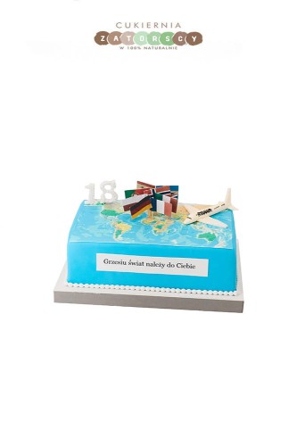 tort-na-18-urodziny-dla-faceta-podroznika-samolot-krakow-cukiernia-online-z-dowozem.jpg