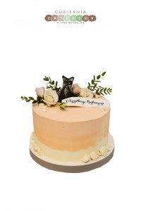 Tort z Kotem