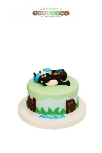 Tort Zwierzęta Owca