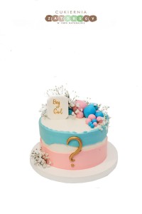 Tort Baby Shower Dziewczynka czy Chłopiec ?