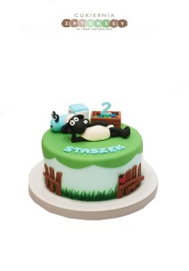 Tort Baranek Shaun