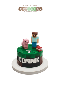 Tort Minecraft  