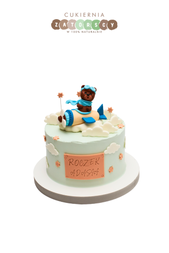 tort-na-roczek-dla-chlopca-mis-w-samolocie-krakow-cukiernia-online-z-dowozem-zatorscy.png