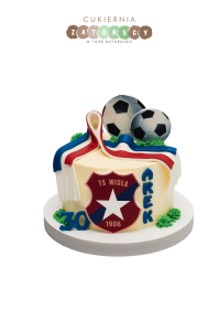  Tort  Piłkarski Wisła Kraków
