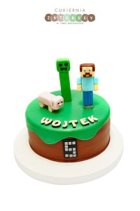 Tort Minecraft 